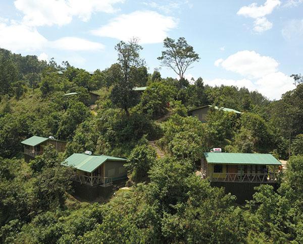 Gorilla Hills Eco-Lodge Kisoro Eksteriør bilde