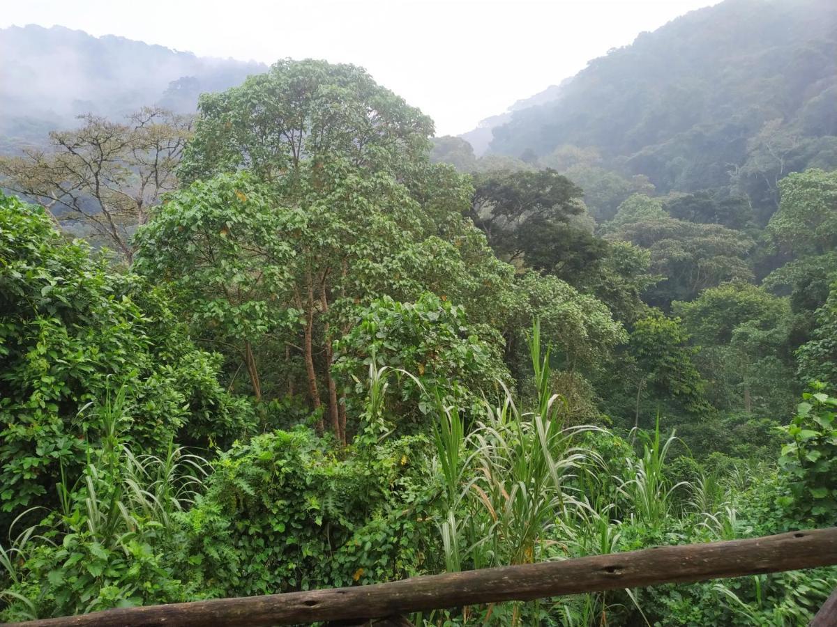 Gorilla Hills Eco-Lodge Kisoro Eksteriør bilde