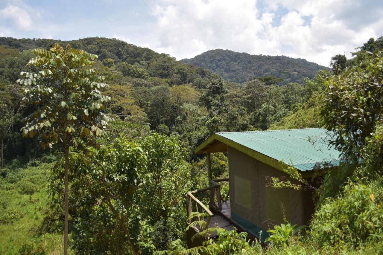 Gorilla Hills Eco-Lodge Kisoro Eksteriør bilde